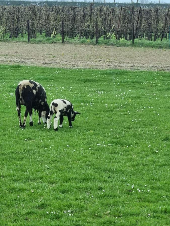 Hemmer Hoeve Exterior foto